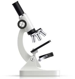 Microscope